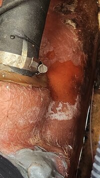 20251017_134756.jpg