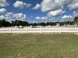 IMG_2606.jpeg
