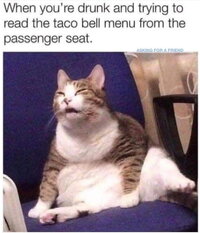9727EF12-C28A-4F4F-B9B3-0D8450DE7A15.jpeg