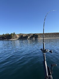 IMG_9191.jpeg