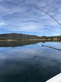 IMG_9195.jpeg