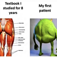1761177026668.png
