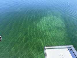 IMG_9216.jpeg