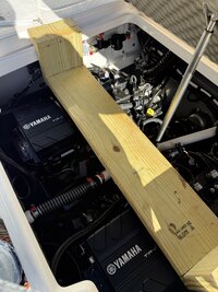 IMG_9221.jpeg