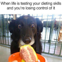 1761613090089.png