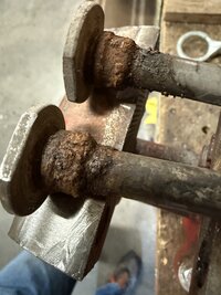 IMG_9285.jpeg IMG_9285.jpeg