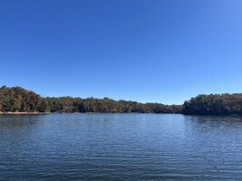 IMG_3402 Medium.jpeg