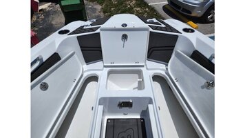 Scarab25513.jpg