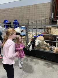 IMG_9066.jpeg