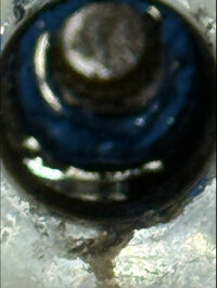 IMG_0894.jpeg