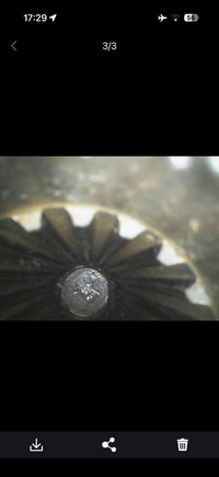 IMG_9918.png