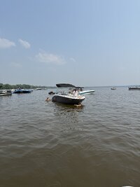 IMG_8453.jpeg IMG_8453.jpeg