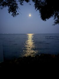 IMG_8464.jpeg IMG_8464.jpeg