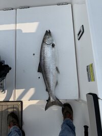 IMG_8525.jpeg IMG_8525.jpeg