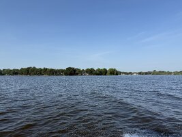 IMG_8555.jpeg IMG_8555.jpeg