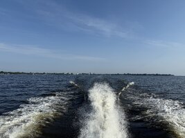 IMG_8556.jpeg IMG_8556.jpeg