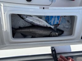 IMG_8616.jpeg IMG_8616.jpeg