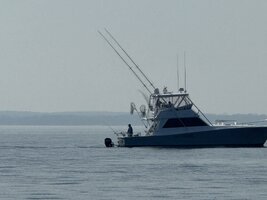 IMG_8622.jpeg IMG_8622.jpeg