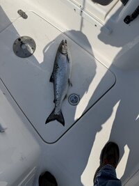 IMG_8615.jpeg IMG_8615.jpeg
