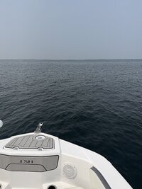 IMG_8521.jpeg IMG_8521.jpeg