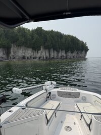 IMG_8516.jpeg IMG_8516.jpeg