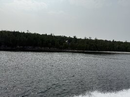 IMG_8503.jpeg IMG_8503.jpeg