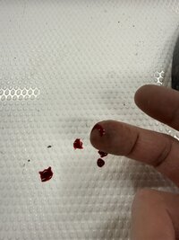 IMG_0174.jpeg