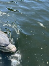 IMG_1994.jpg