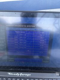 IMG_1104.jpeg