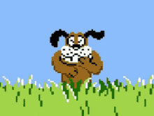 duck-hunt-dog.gif