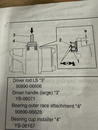 IMG_0599.jpeg