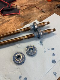 IMG_0603.jpeg