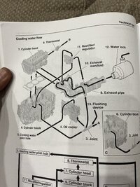 IMG_8679.jpeg