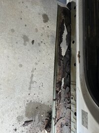 IMG_3065.jpeg