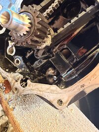 IMG_1896.jpeg
