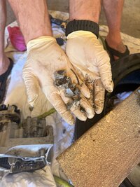 IMG_1895.jpeg