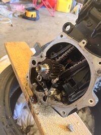 IMG_1891.jpeg