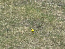 IMG_0852.jpeg