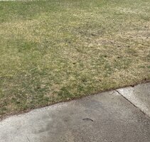 IMG_0851.jpeg