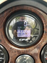 IMG_7141.jpeg