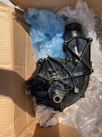 IMG_9287.jpeg