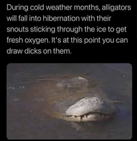1779274838644.png