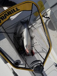 IMG_0761.jpeg