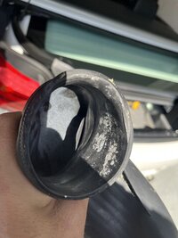 IMG_8742.jpeg