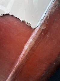 IMG_6494.jpeg