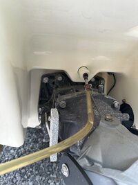IMG_3155.jpeg
