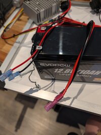 PXL_20260618_173826121.jpg