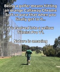 IMG_7733.jpeg