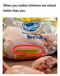 1784684238220.png
