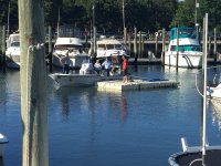 IMG_0931.JPG IMG_0931.JPG